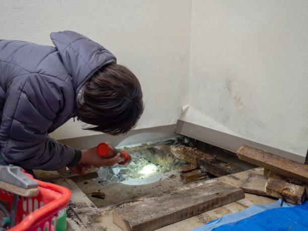 Best Mold Prevention Services  in Nanuet, NY