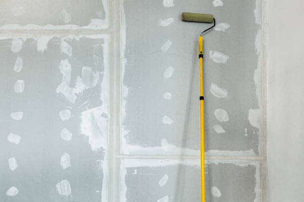 Best Attic Mold Removal  in Nanuet, NY