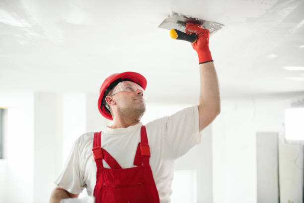 Best Black Mold Removal  in Nanuet, NY