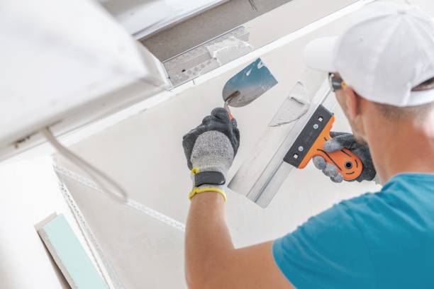 Best Asbestos and Lead Testing During Mold Inspection  in Nanuet, NY